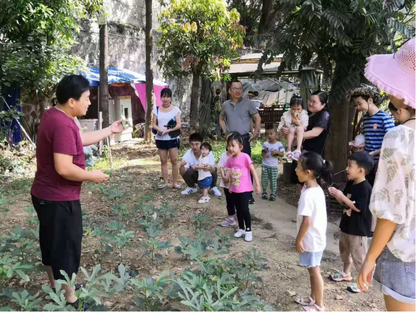 六一社会服务-秋葵等植物科普