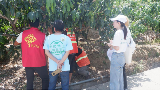 参观节水灌溉芒果地